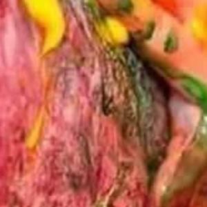 Meet your Posher, Gypsy